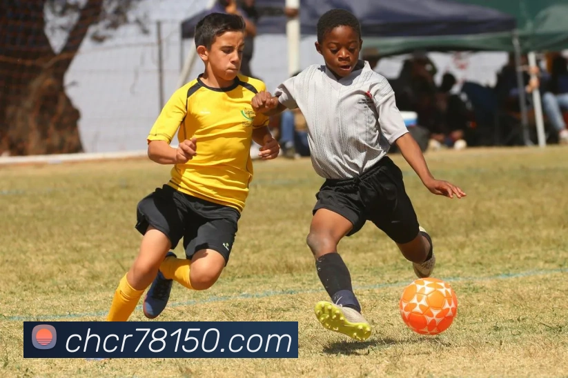 奖项证书